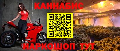 прущие крисы Кулебаки