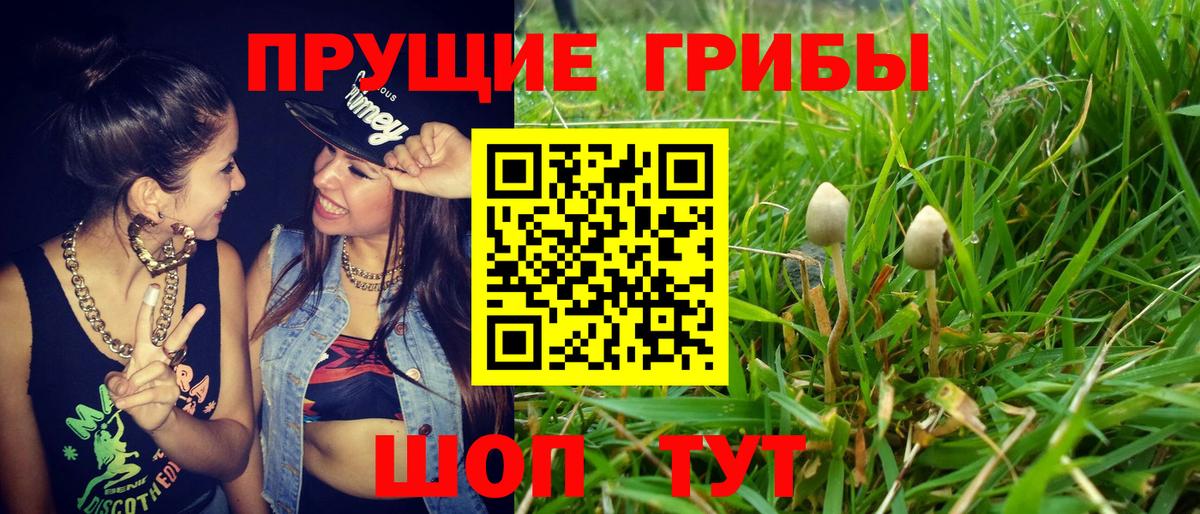 где можно купить наркотик  Вход с VPN  Керчь  Псилоцибиновые грибы ЛСД 