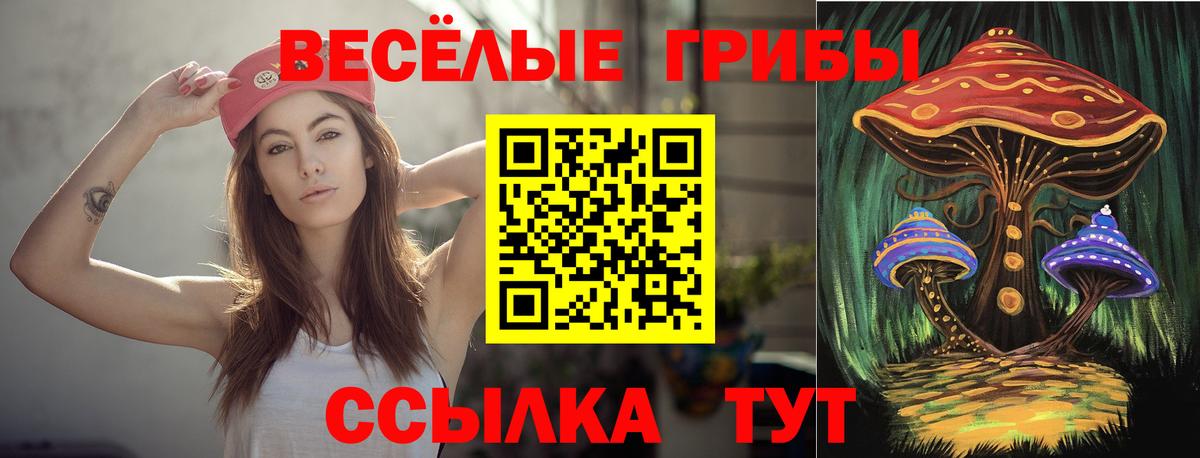 Псилоцибиновые грибы GOLDEN TEACHER Керчь